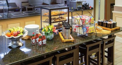 Hilton Garden Inn Rochester Downtown, MN