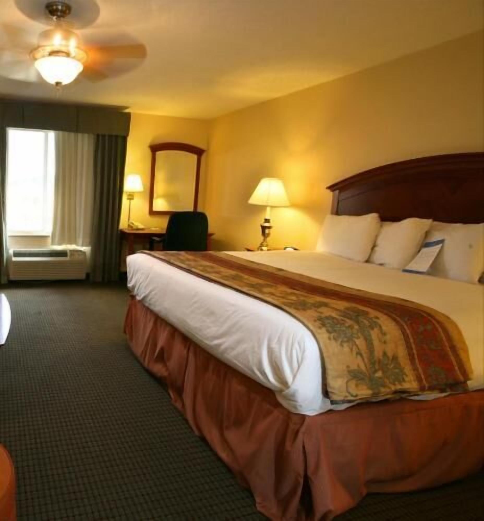 Premium bedding, desk, laptop workspace, blackout curtains