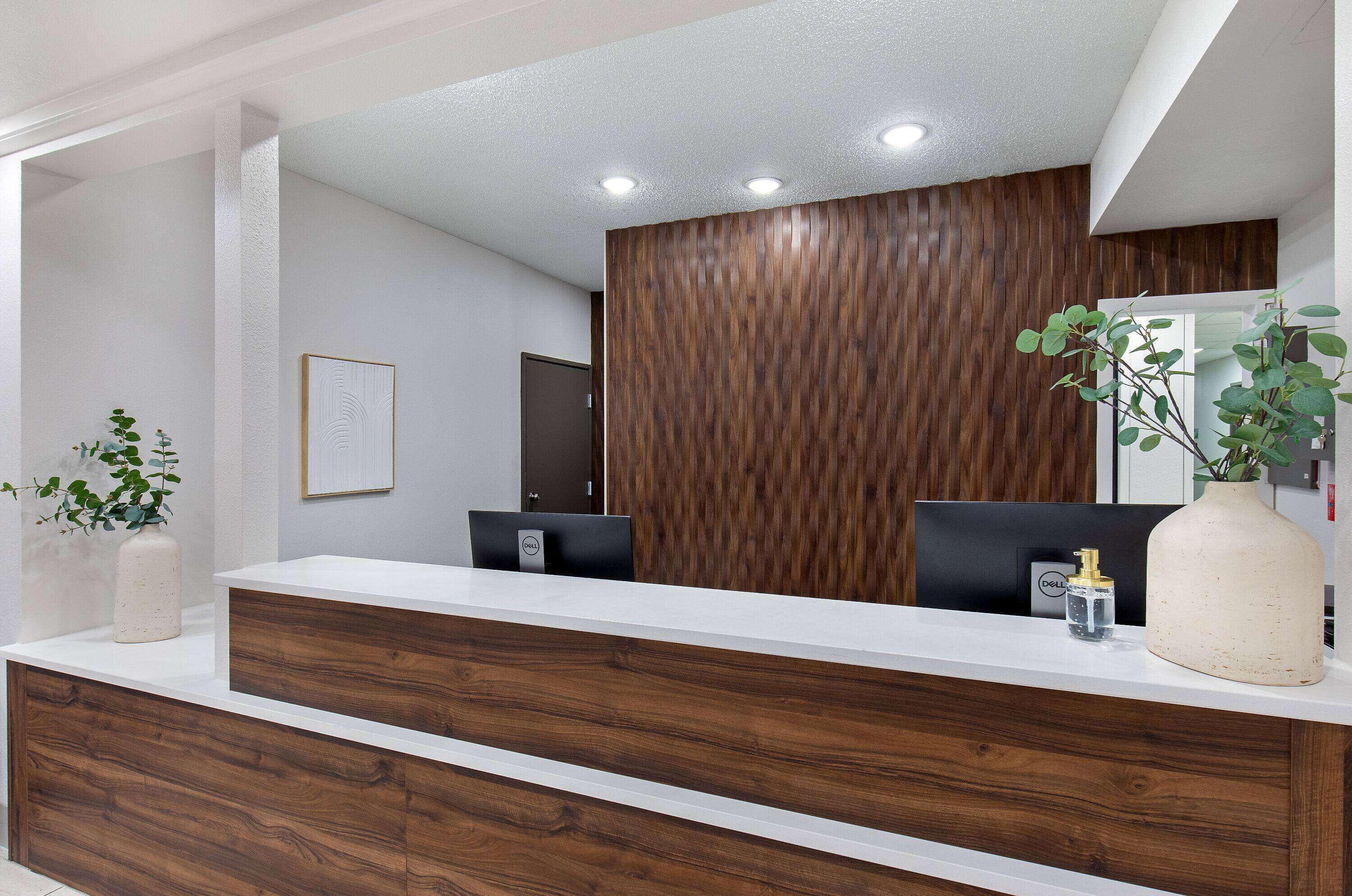 Un mostrador de recepción con un panel de madera de fondo, una obra de arte enmarcada y una planta en maceta.