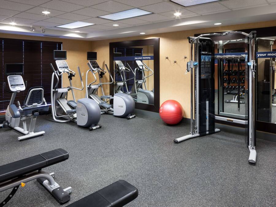 Un gimnasio con cintas de correr, elípticas, una banca y una pelota de medicina.