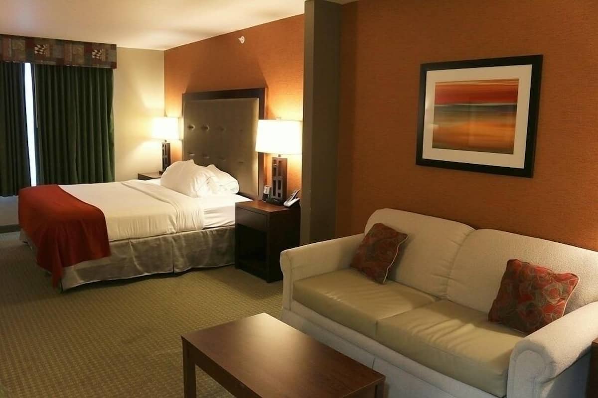 standard room, 1 king bed with sofa bed | living area | flat-screen tv, pay films