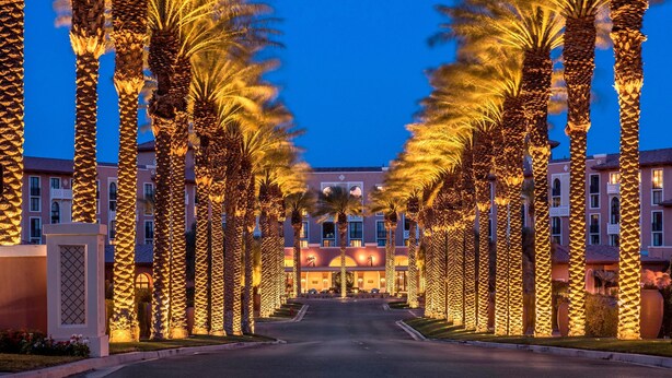 A hotel entrance with a row of palm trees and a building in the background.