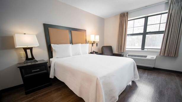 Desk, laptop workspace, iron/ironing board, WiFi (free) - Extended Stay America Suites Long Island Bethpage (Bethpage)