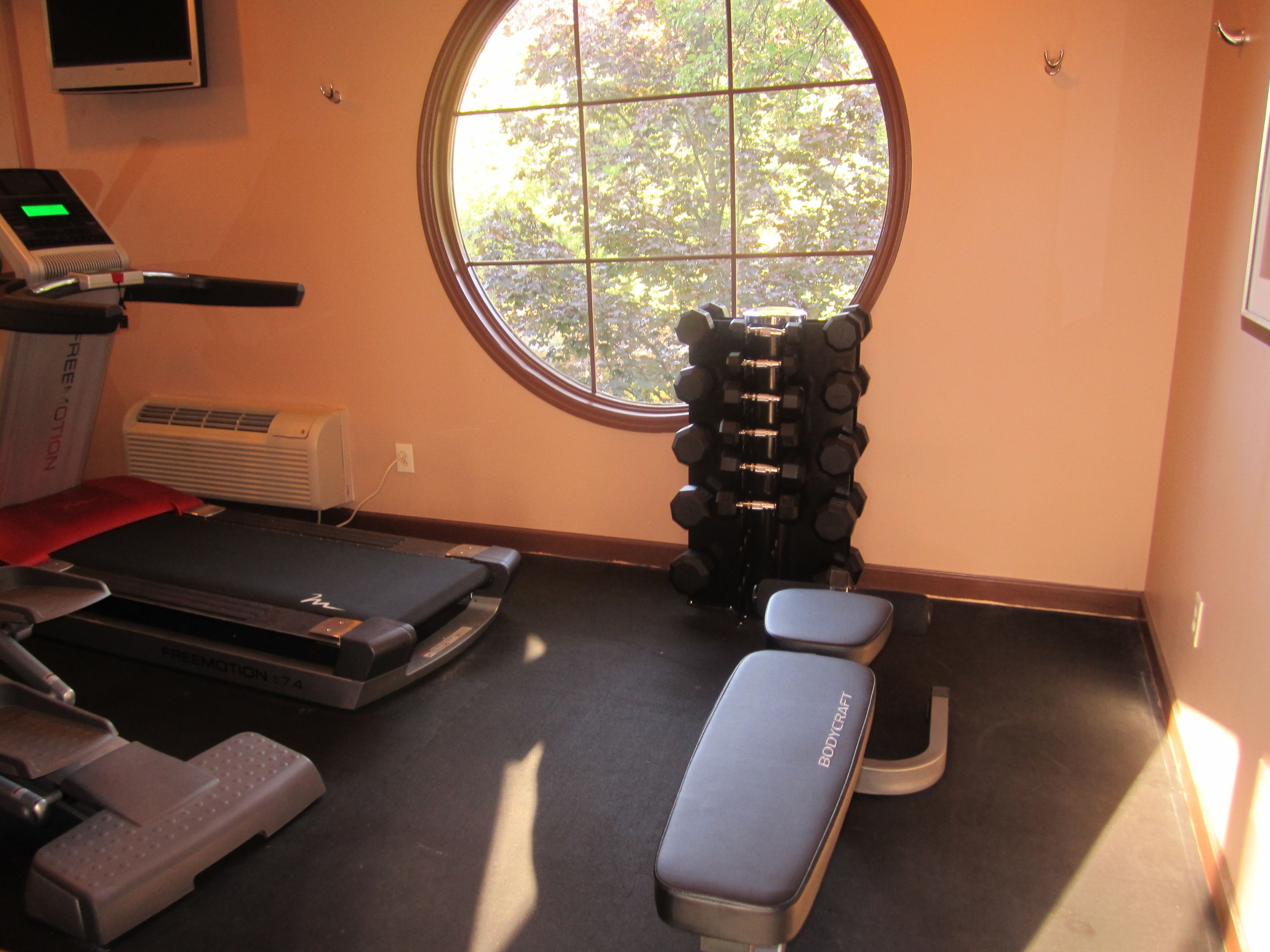 A gym with a treadmill, weights, and a bench.