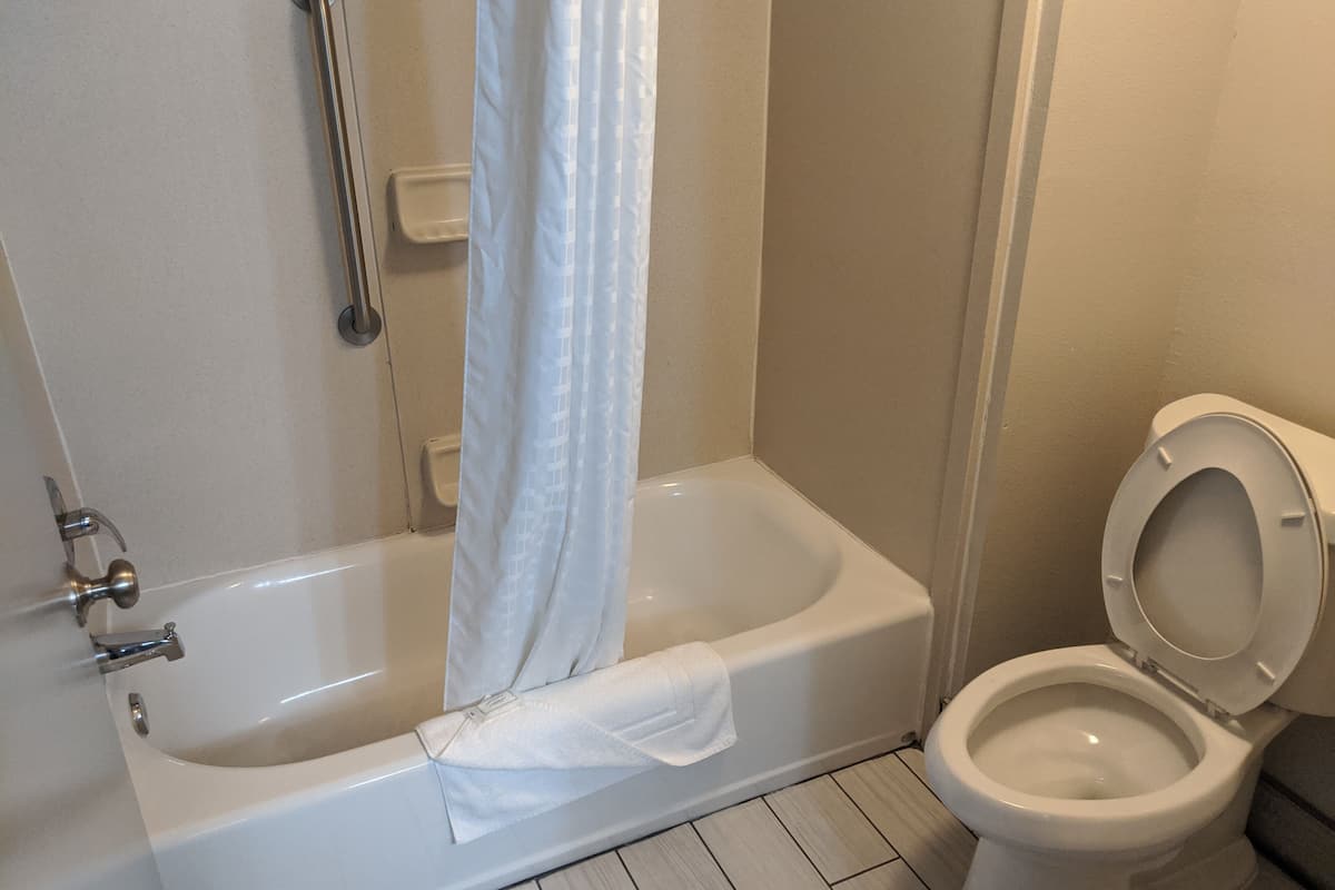 room, 1 king bed, accessible, non smoking | bathroom | combined shower/bathtub, free toiletries, hair dryer, towels