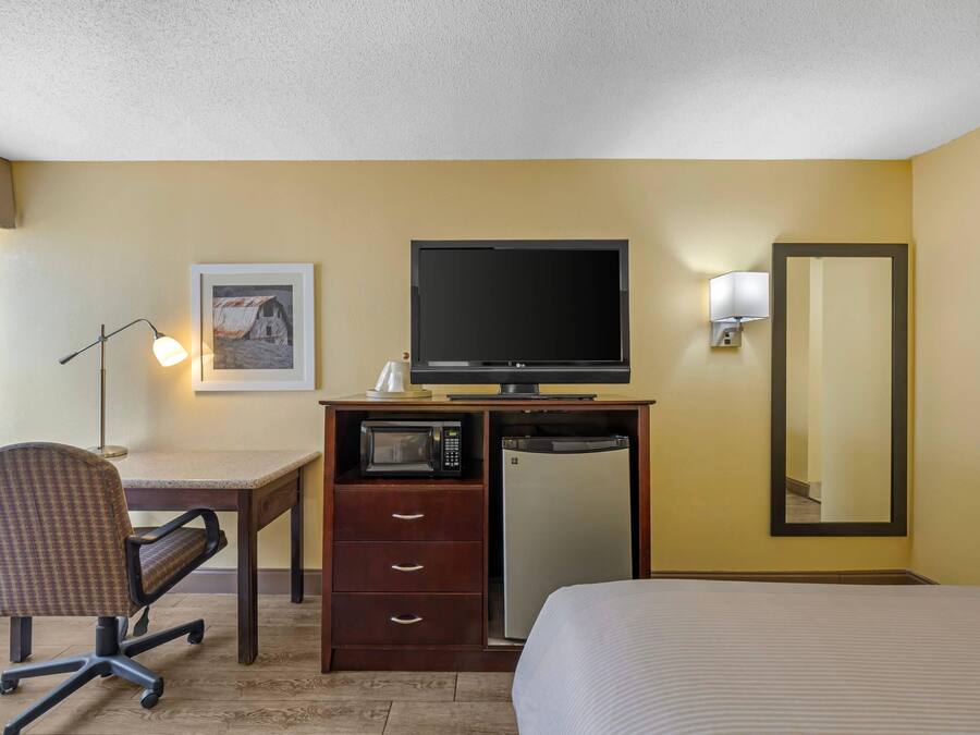 A hotel room with a bed, a desk with a chair, a television, a microwave, a refrigerator, a lamp, and a mirror.