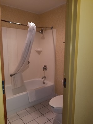 Combined shower/tub, free toiletries, hair dryer, towels