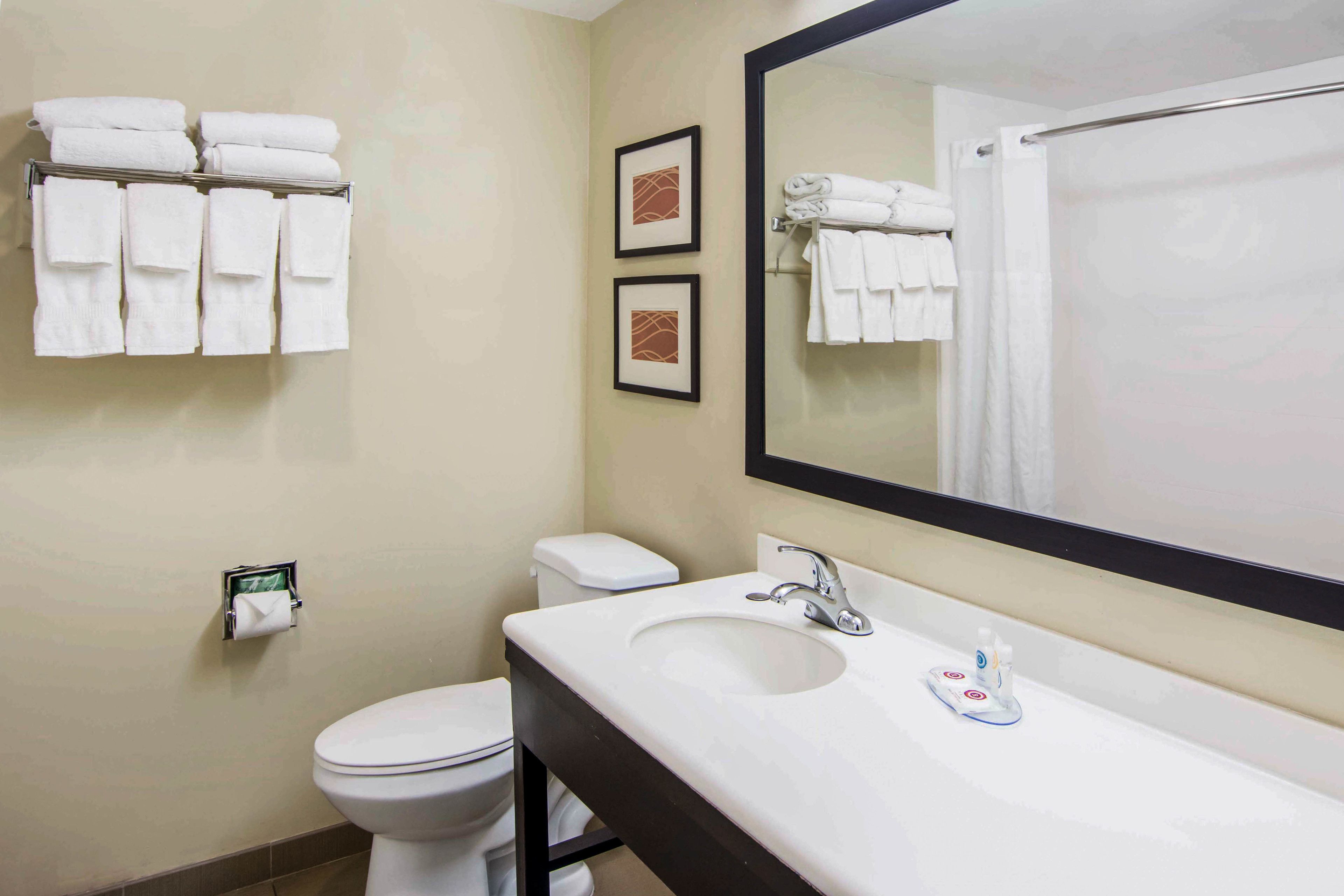 Photo - Comfort Inn Atlanta Downtown South