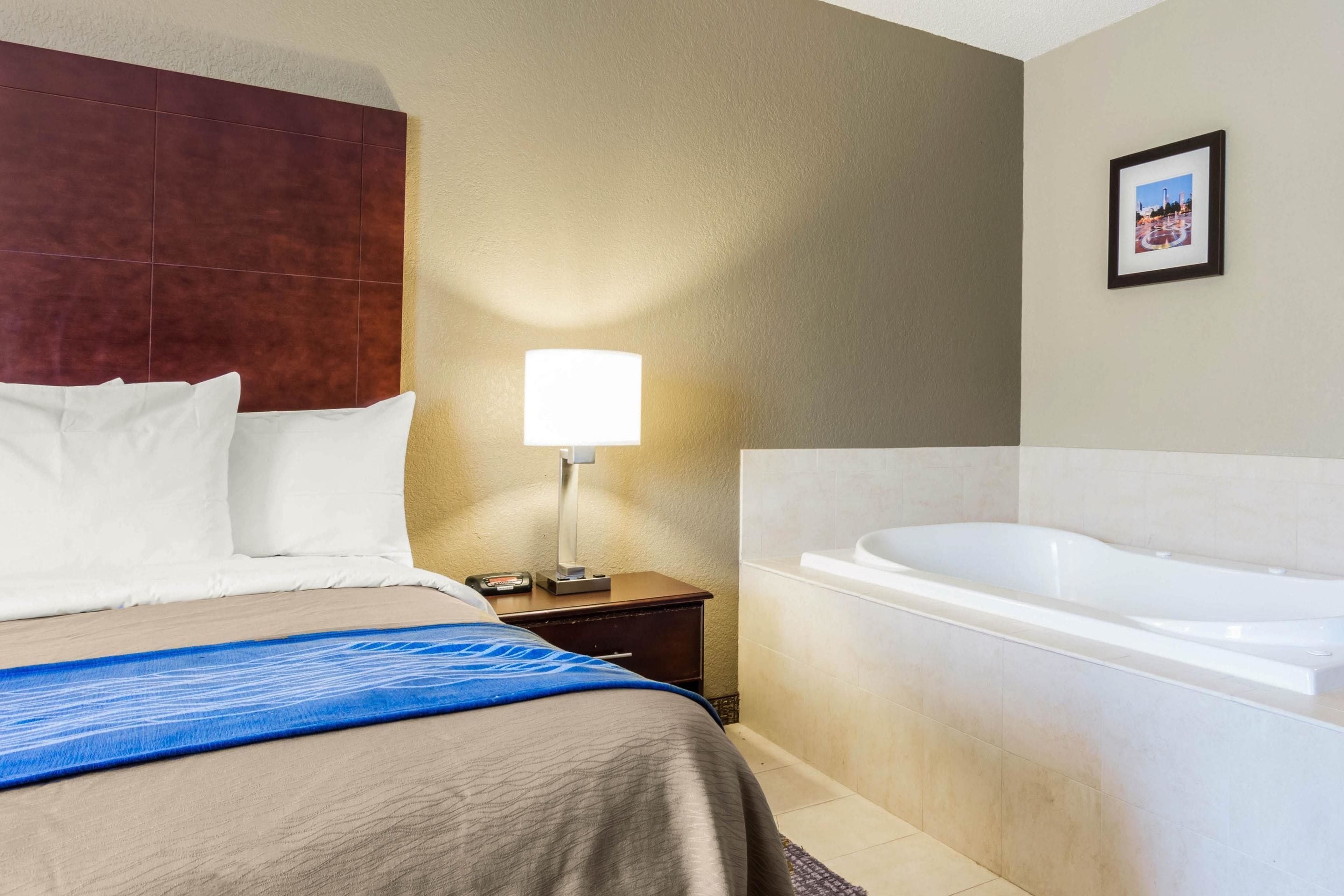 Photo - Comfort Inn Atlanta Downtown South
