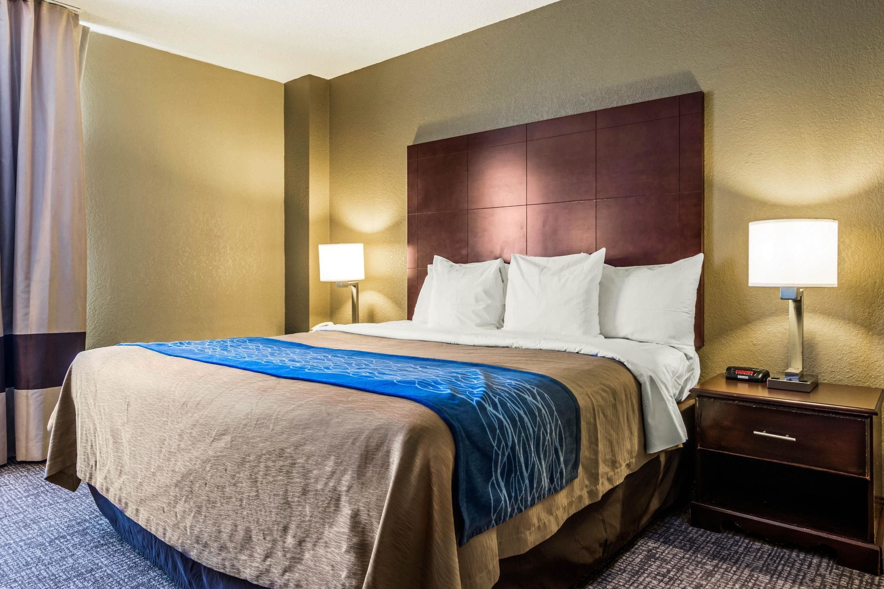 Photo - Comfort Inn Atlanta Downtown South