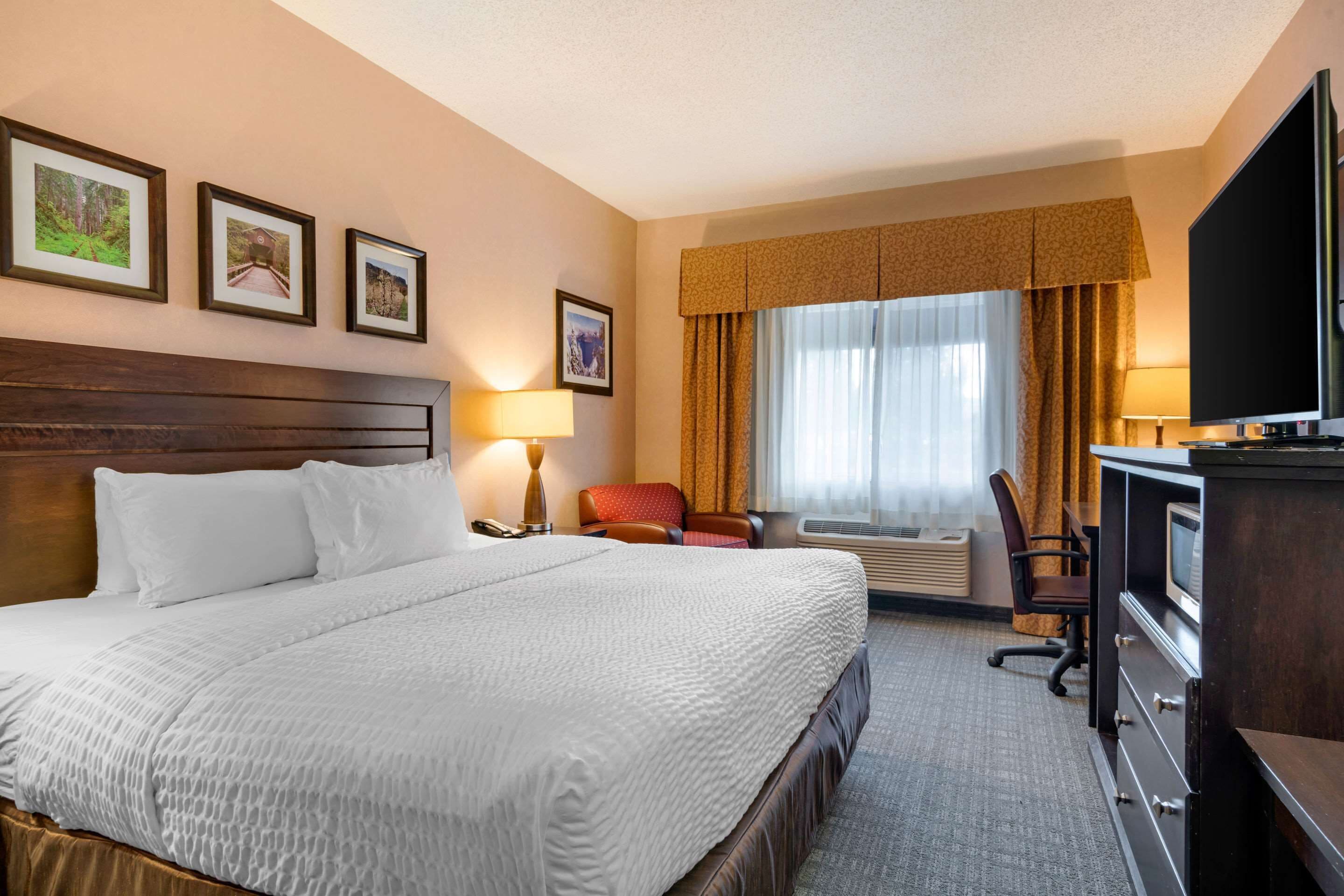 standard room, 1 king bed, non smoking | desk, laptop workspace, iron/ironing board, free cots/infant beds