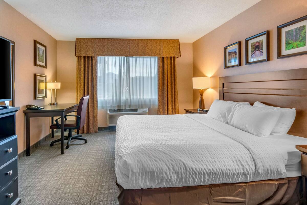 Quarto de hotel com uma cama grande, uma mesa com cadeira, televisão e quadros nas paredes.