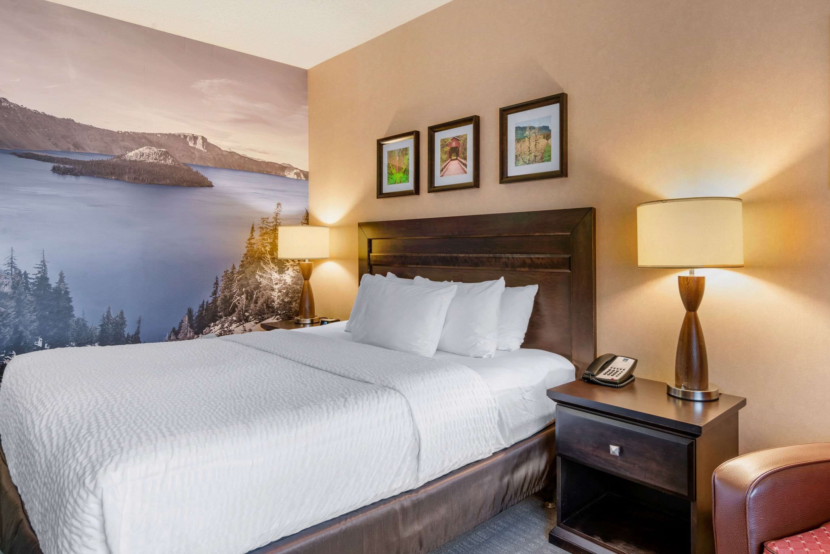 Standard Room, 1 King Bed, Non Smoking | Desk, laptop workspace, iron/ironing board, cribs/infant beds