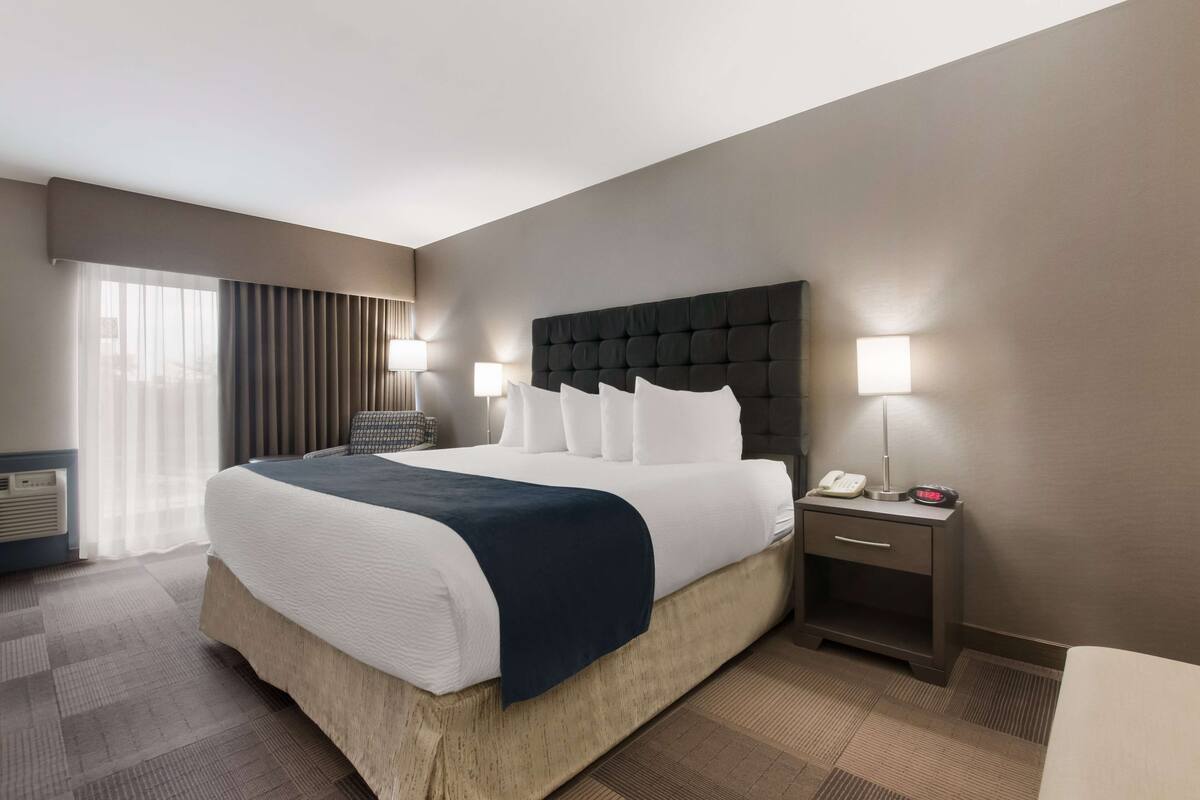 A hotel room with a large bed, a bedside table with a lamp, and a window with curtains.