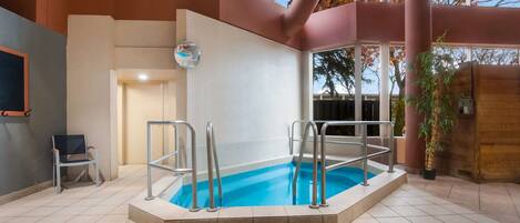 An indoor swimming pool with metal ladders, a chair, and a potted plant.