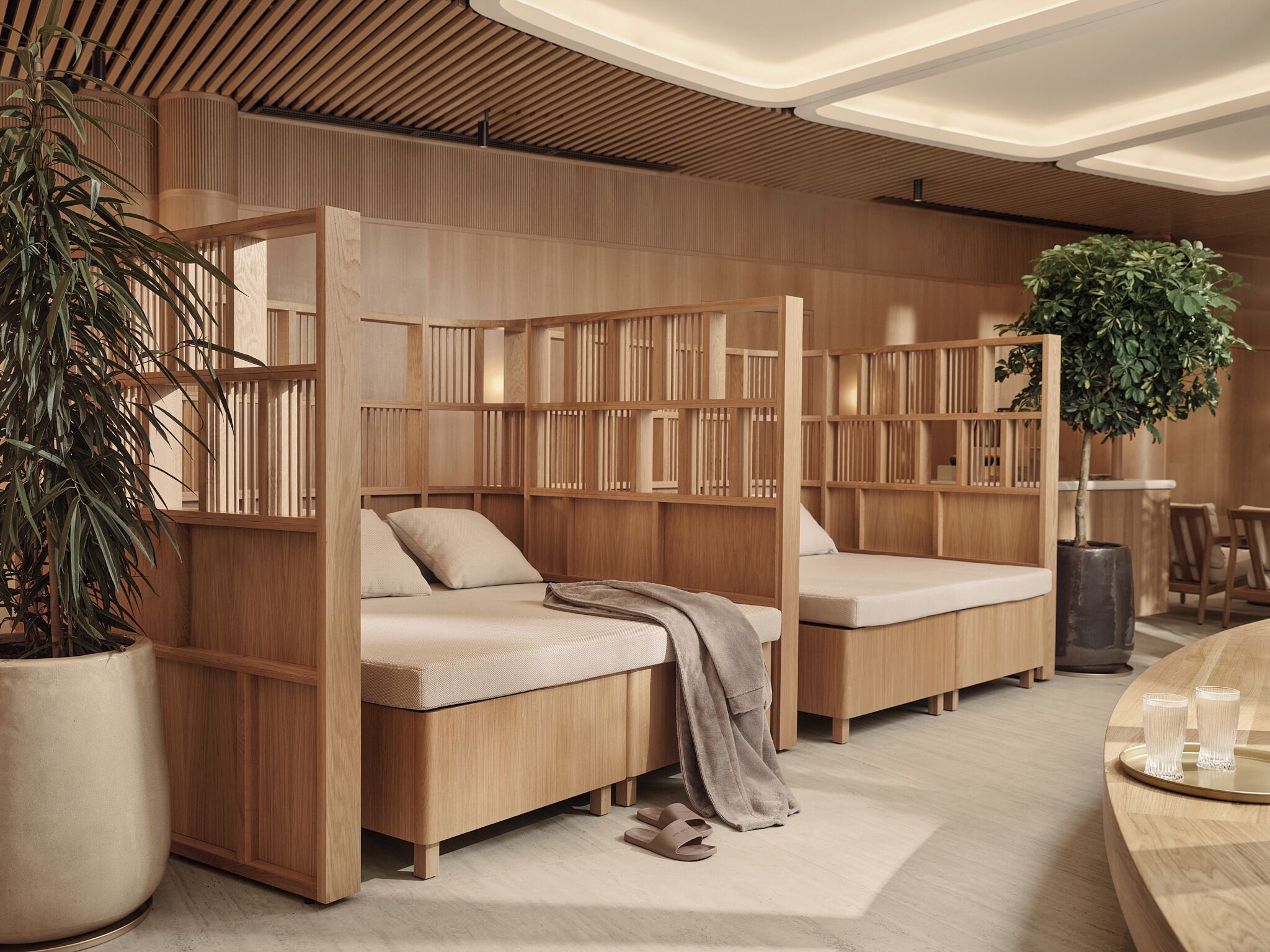 A modern bedroom with two wooden bunk beds, a large potted plant, and a dining area with a table and chairs.
