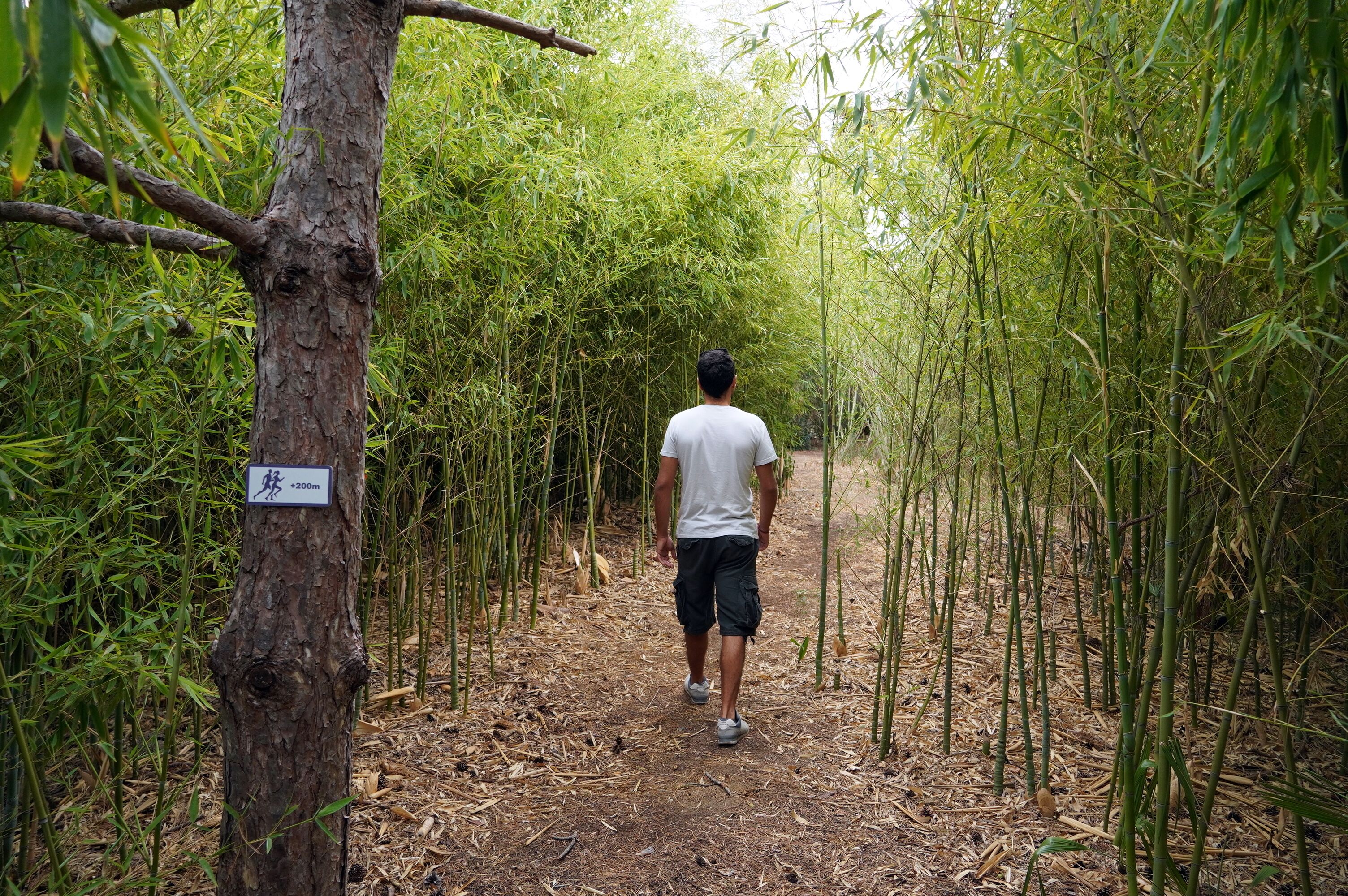 children’s play area – outdoor