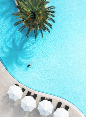 Vista aérea de una piscina con una palmera, sillas de descanso y sombrillas.