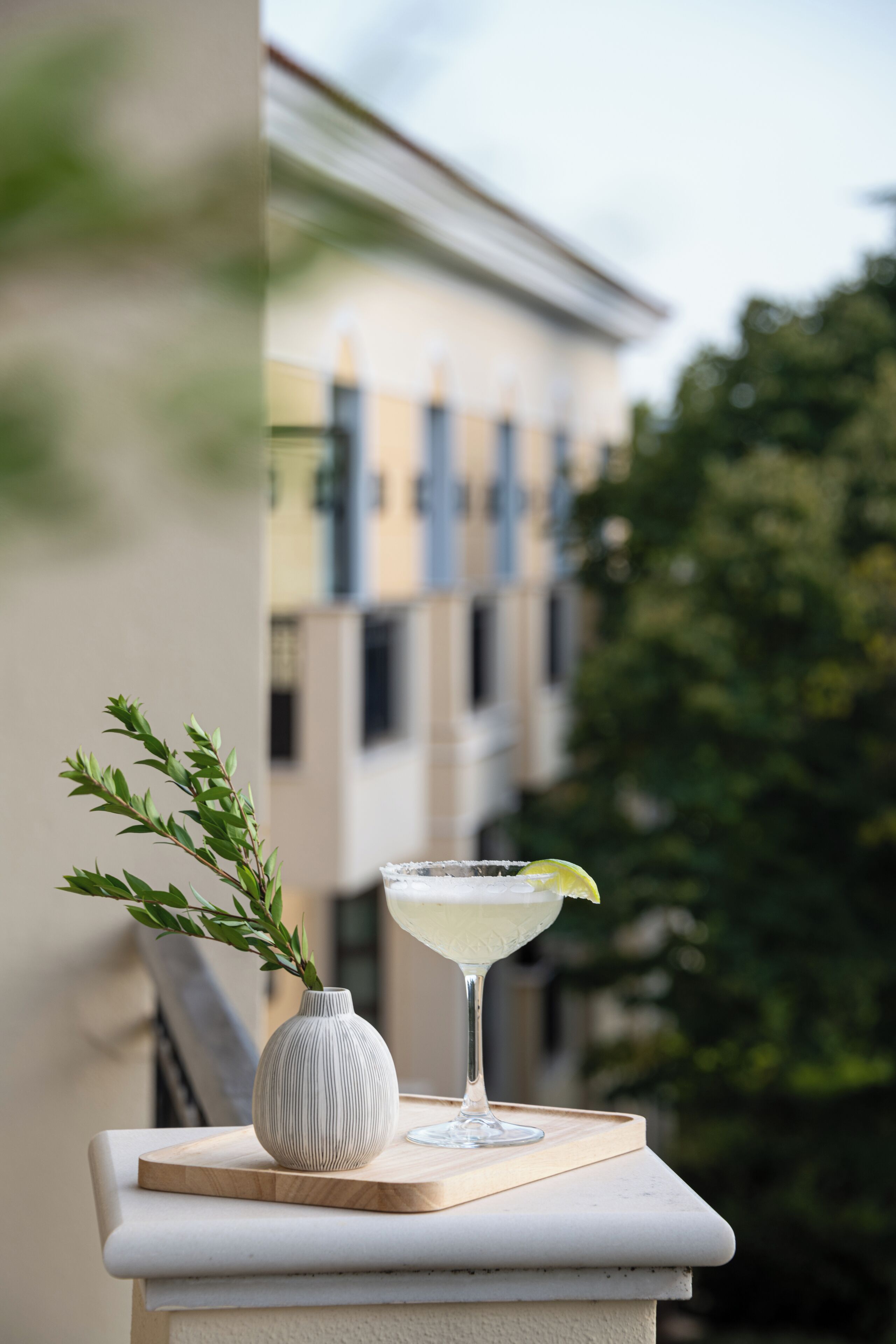 A cocktail on a table with a plant and a vase.