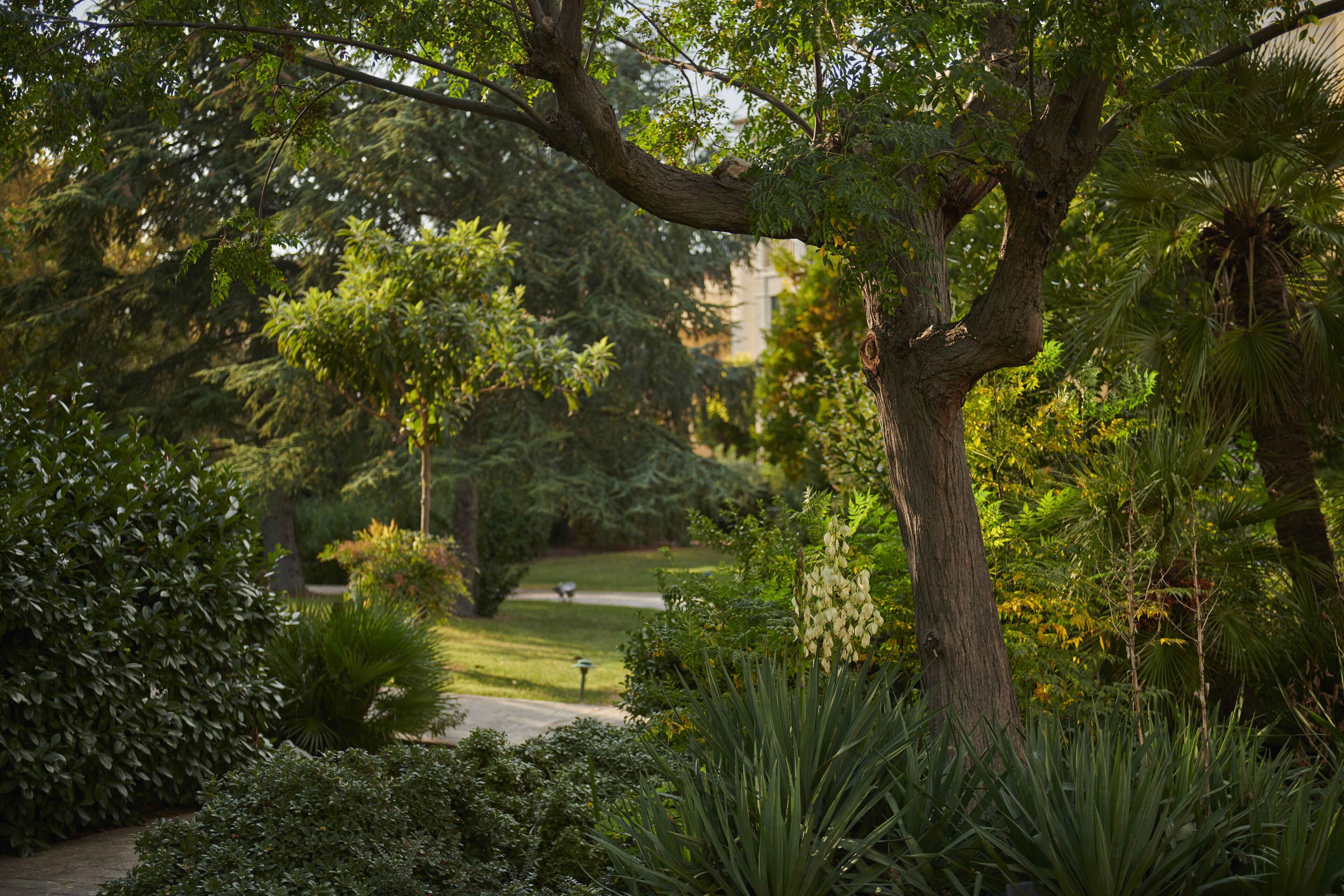 Photo - Hyatt Regency Thessaloniki