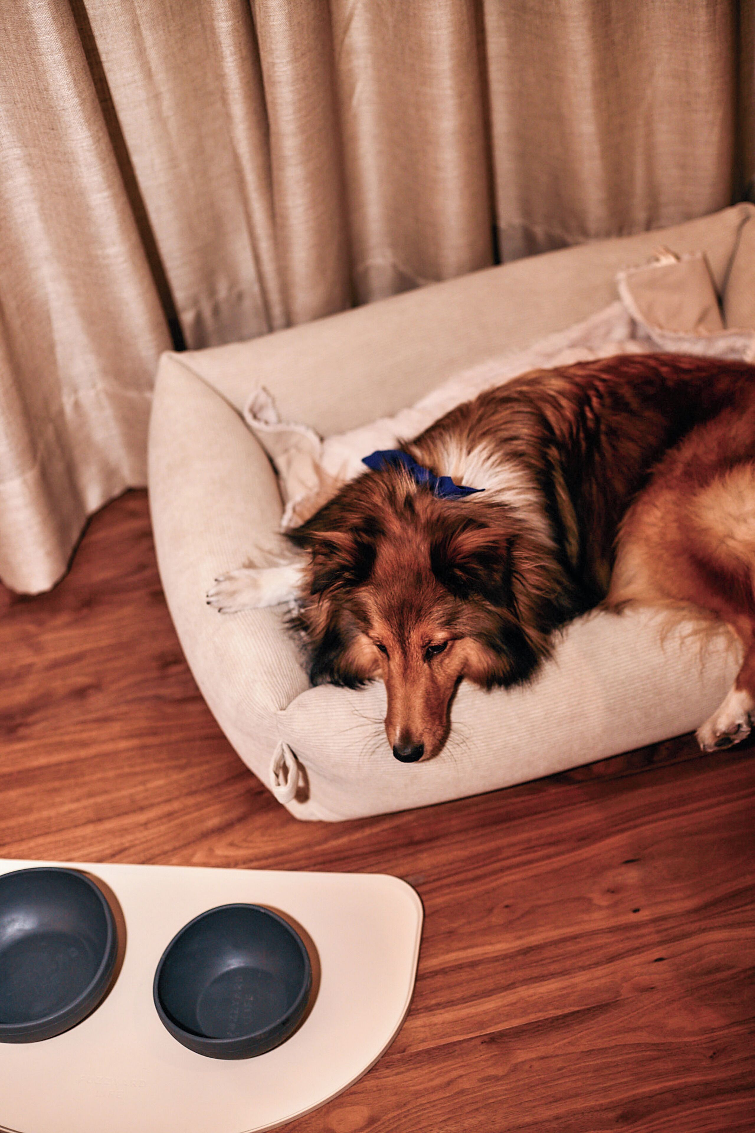 Photo - Hacienda del Mar member of Meliá Collection