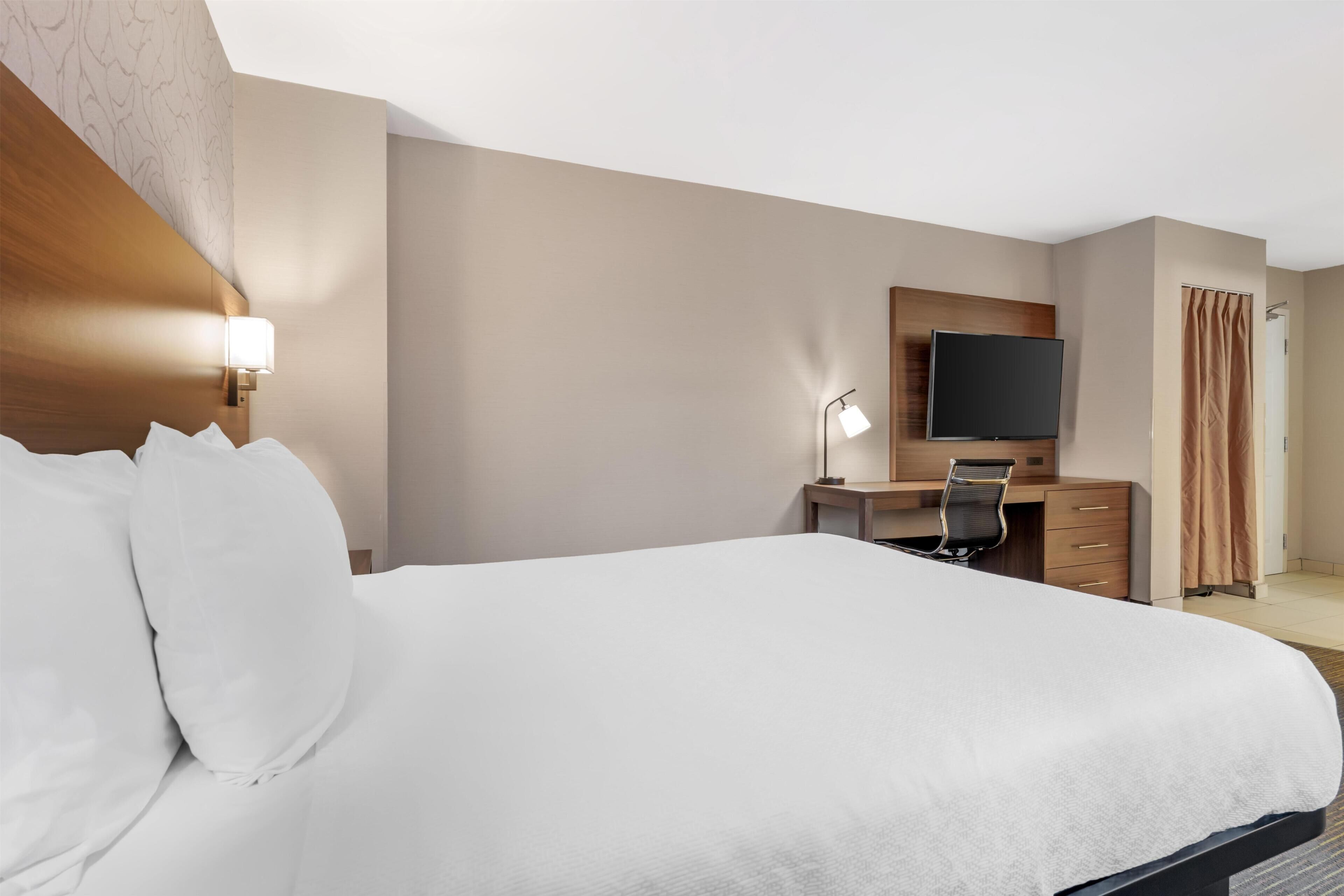 Habitación estándar, 1 cama Queen size, para no fumadores (Walk-in Shower;with Sofabed) | Escritorio y espacio para trabajar con laptop 