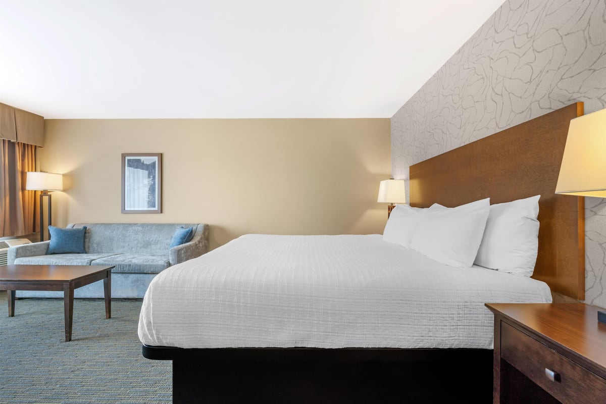 Una habitación de hotel con una cama, un sofá, una mesita de noche y dos lámparas.