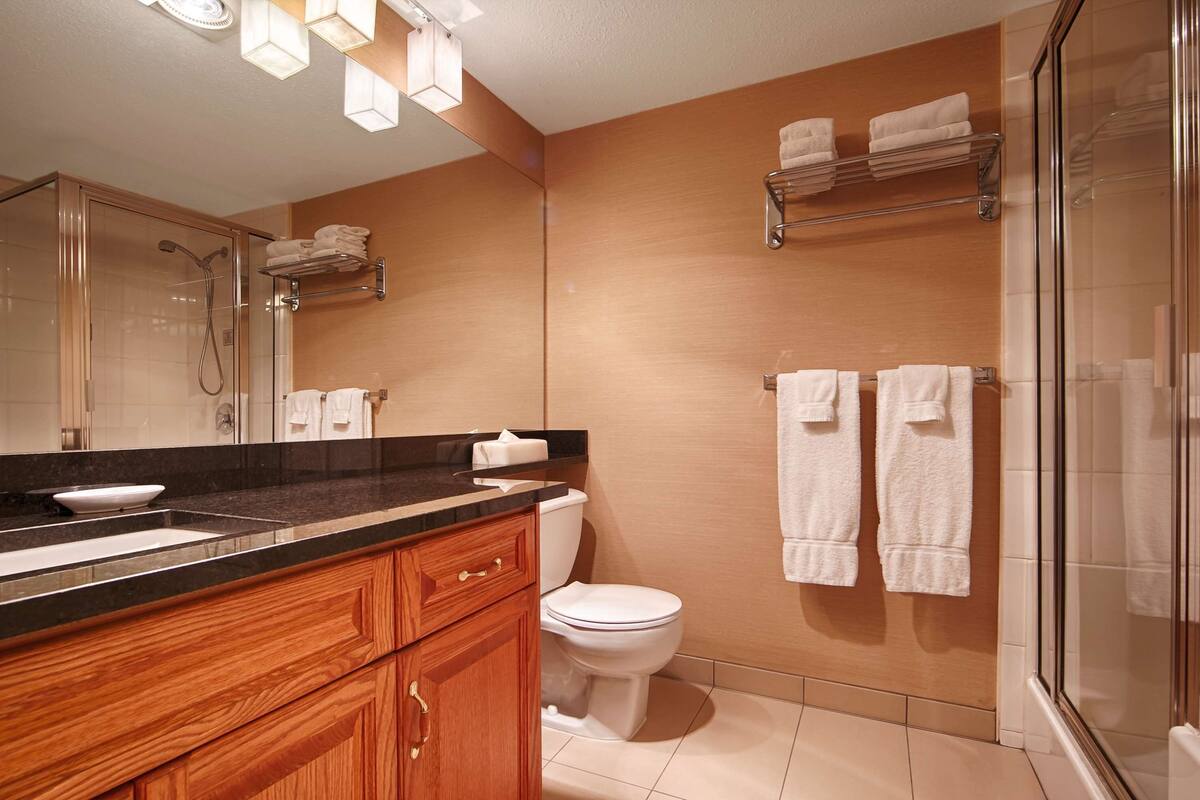 free toiletries, hair dryer, towels