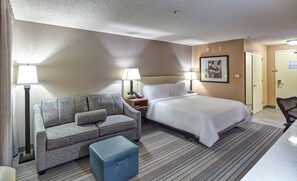 Room, 1 King Bed with Sofa bed | View from room