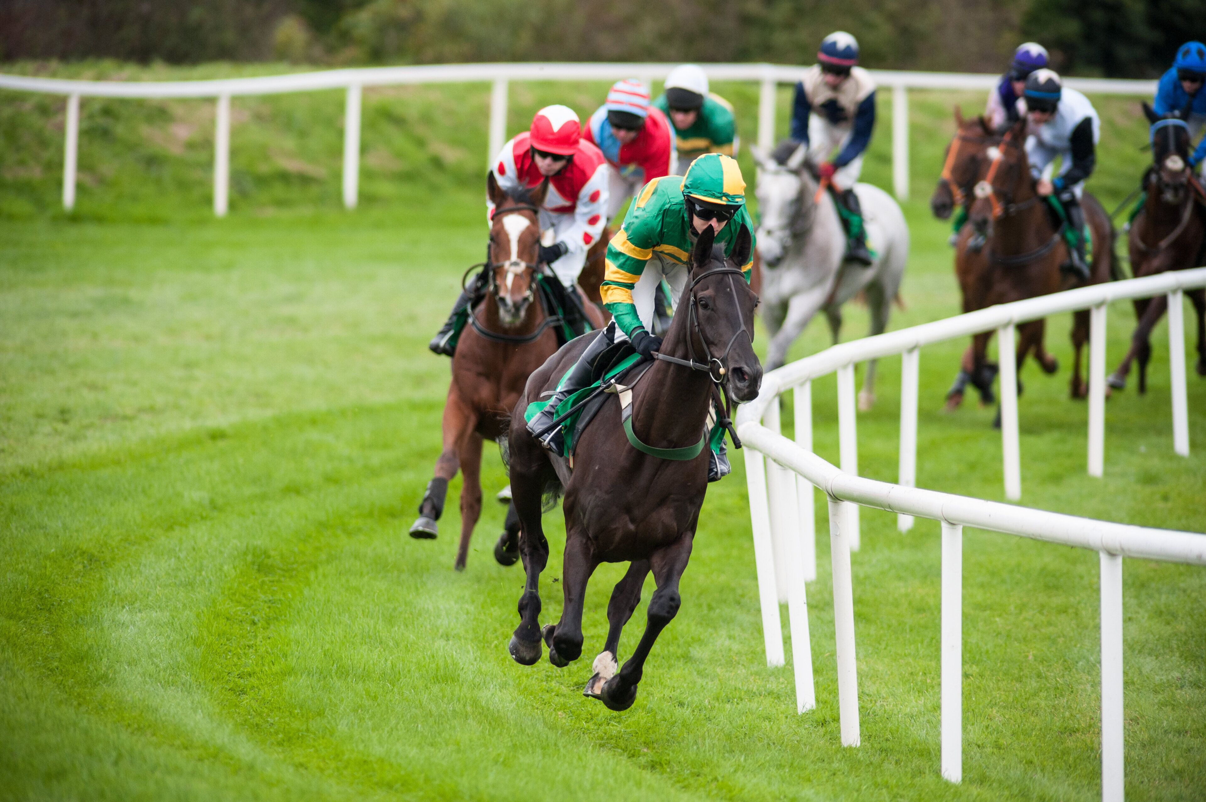 Une course de chevaux avec des jockeys et des chevaux sur une piste.