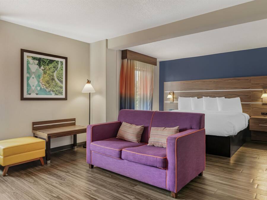 Habitación de hotel con sofá morado, banco de madera, otomano amarillo pequeño, cama con ropa de cama blanca, mesita de noche y lámpara de pared.