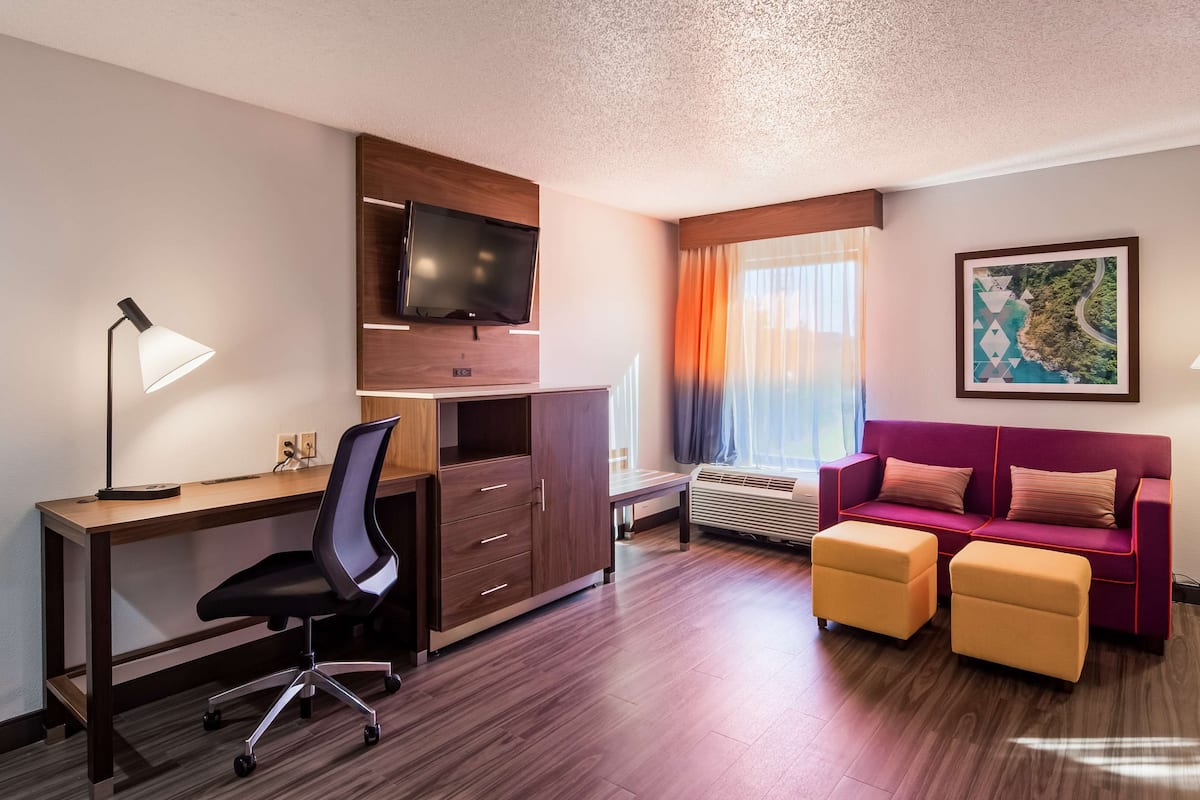 Standard Room, 1 King Bed, Non Smoking, Refrigerator & Microwave (Shower Only;with Sofabed) | Pillow-top beds, desk, laptop workspace, blackout curtains