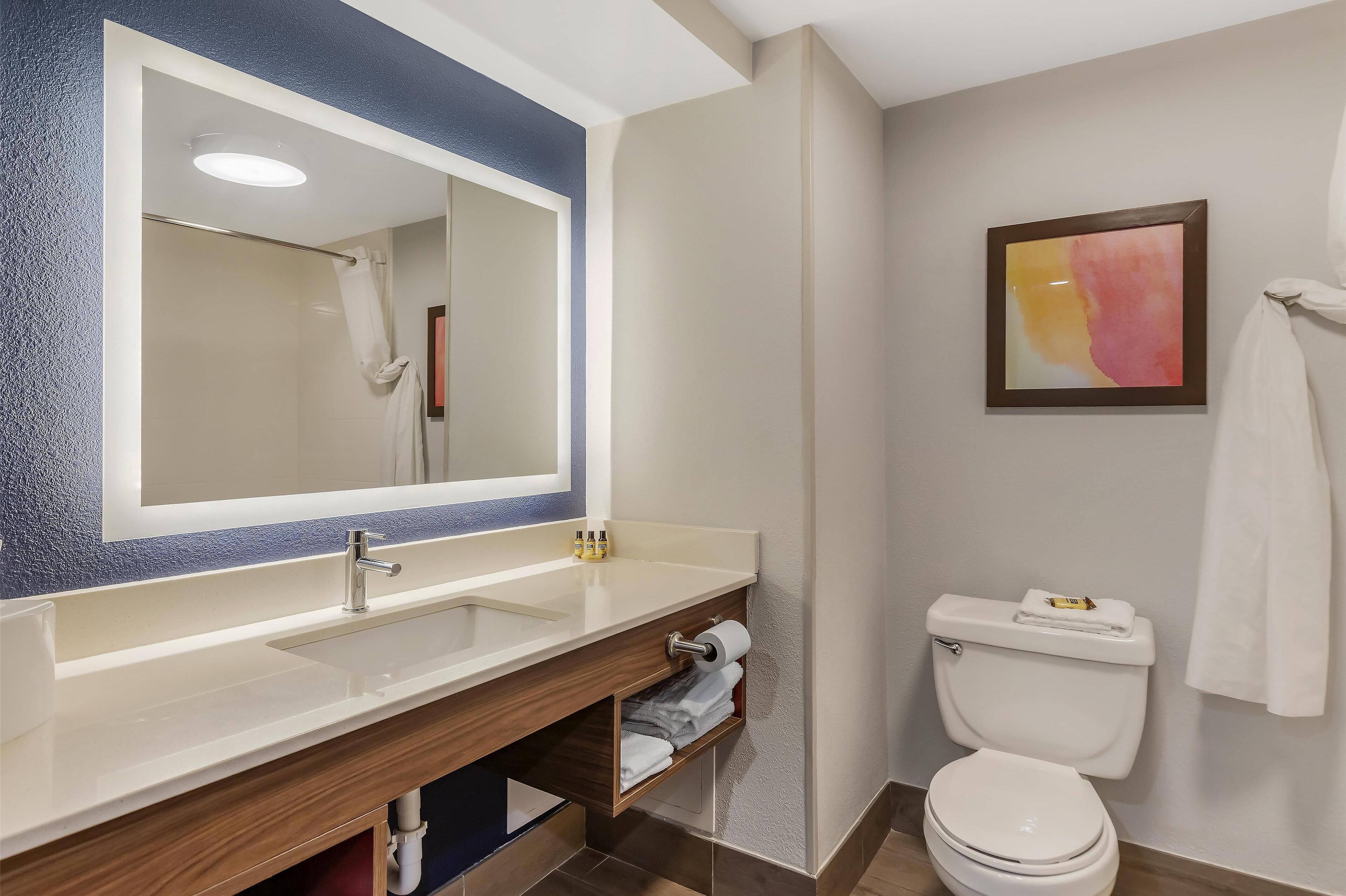 combined shower/bathtub, free toiletries, hair dryer, towels