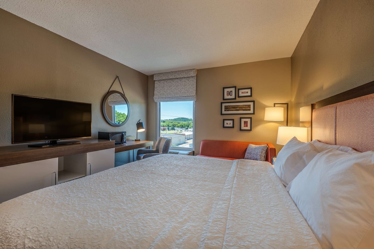A hotel room with a large bed, a desk with a flat-screen TV, a chair, a window with a view of greenery, and framed pictures on the wall.