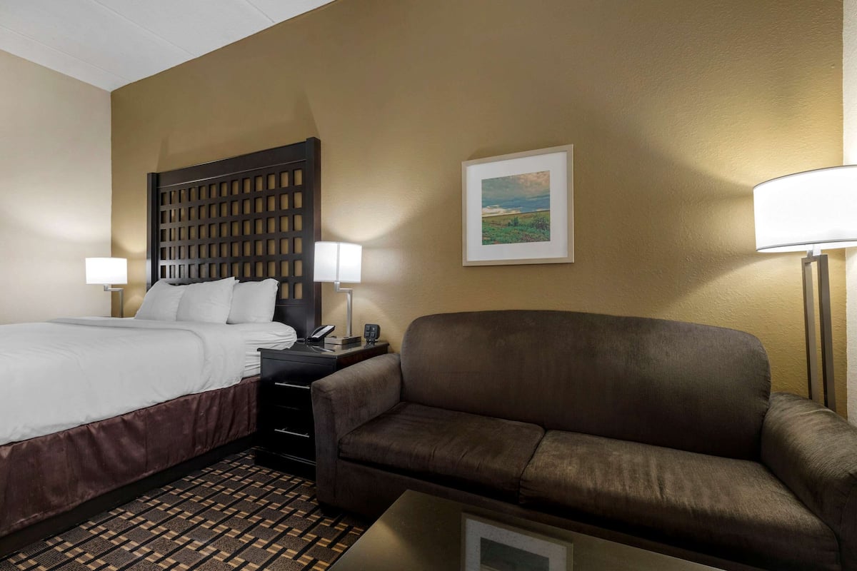 A hotel room with a bed, a sofa, a nightstand with a lamp, and a framed picture on the wall.