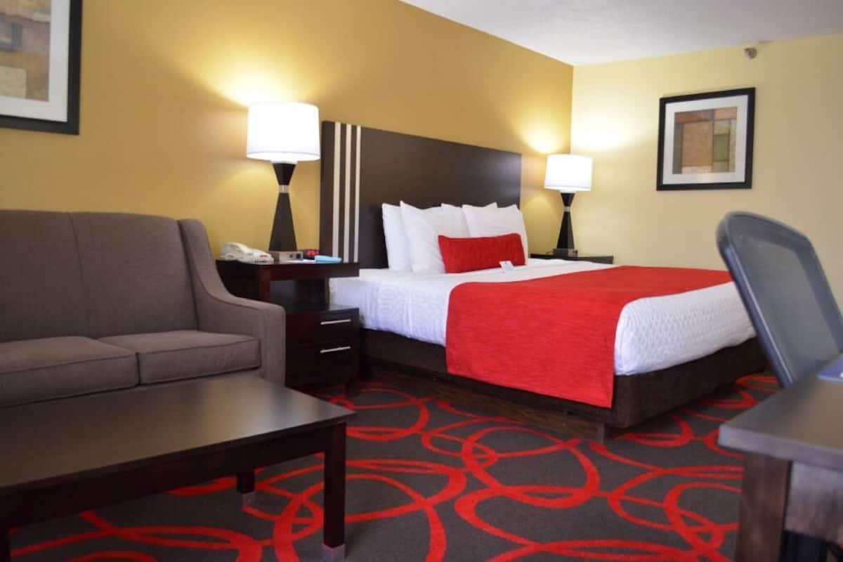 A hotel room with a bed, a sofa, a desk, and a chair.