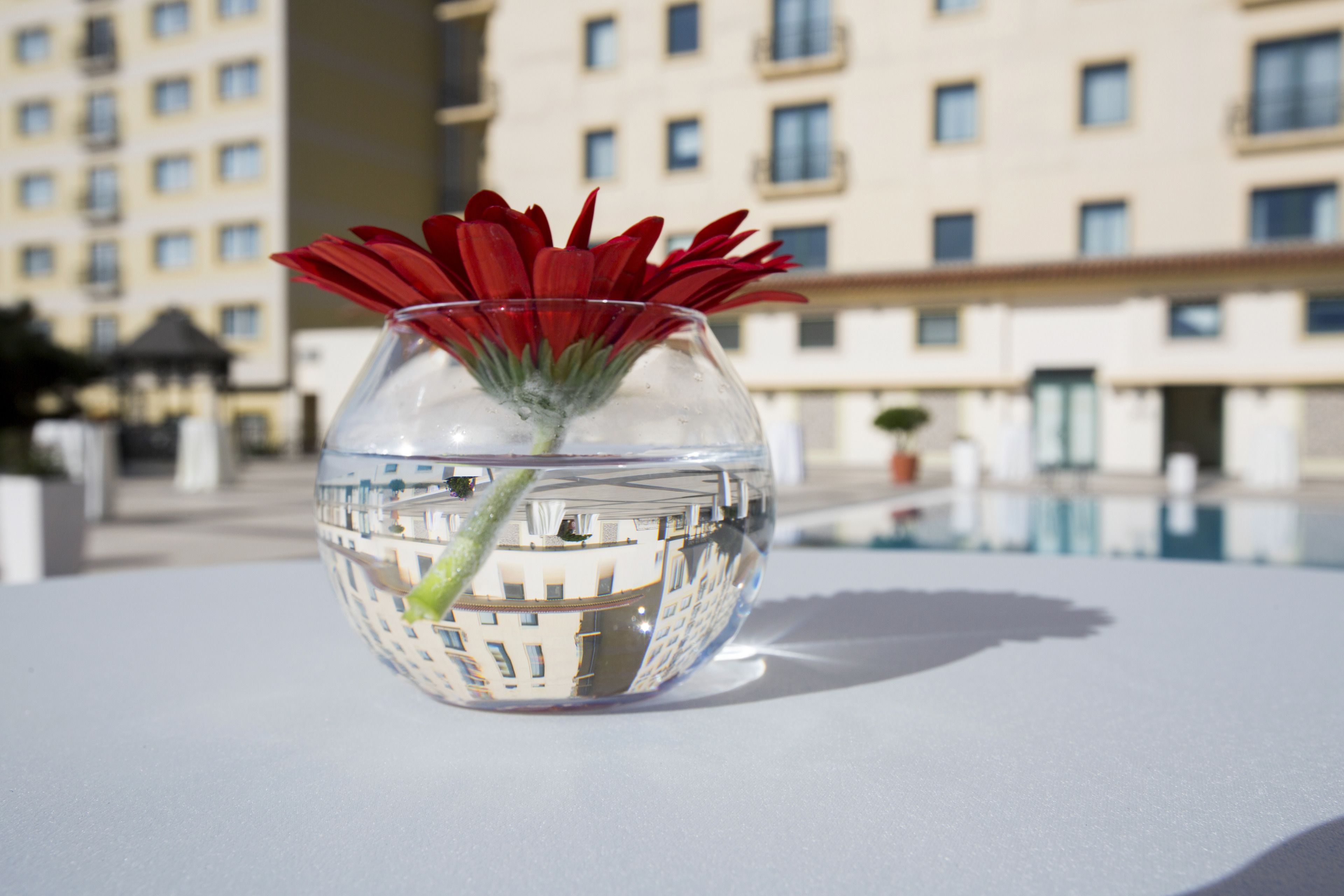 Een glazen vaas met een rode bloem op een witte ondergrond, met een gebouw in de achtergrond dat erin wordt weerspiegeld.