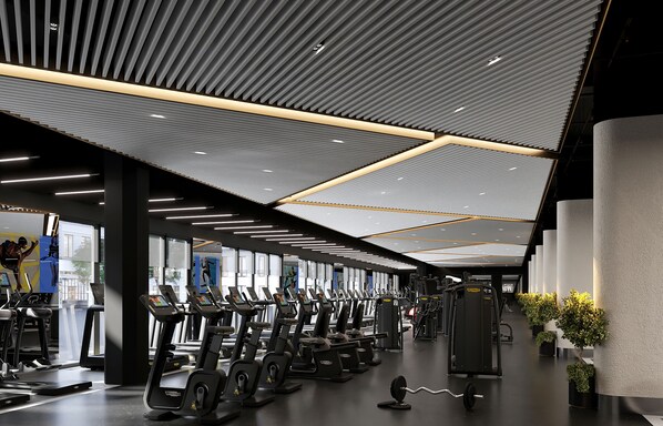 Fitness facility - Hyatt Regency Baku (Baku)
