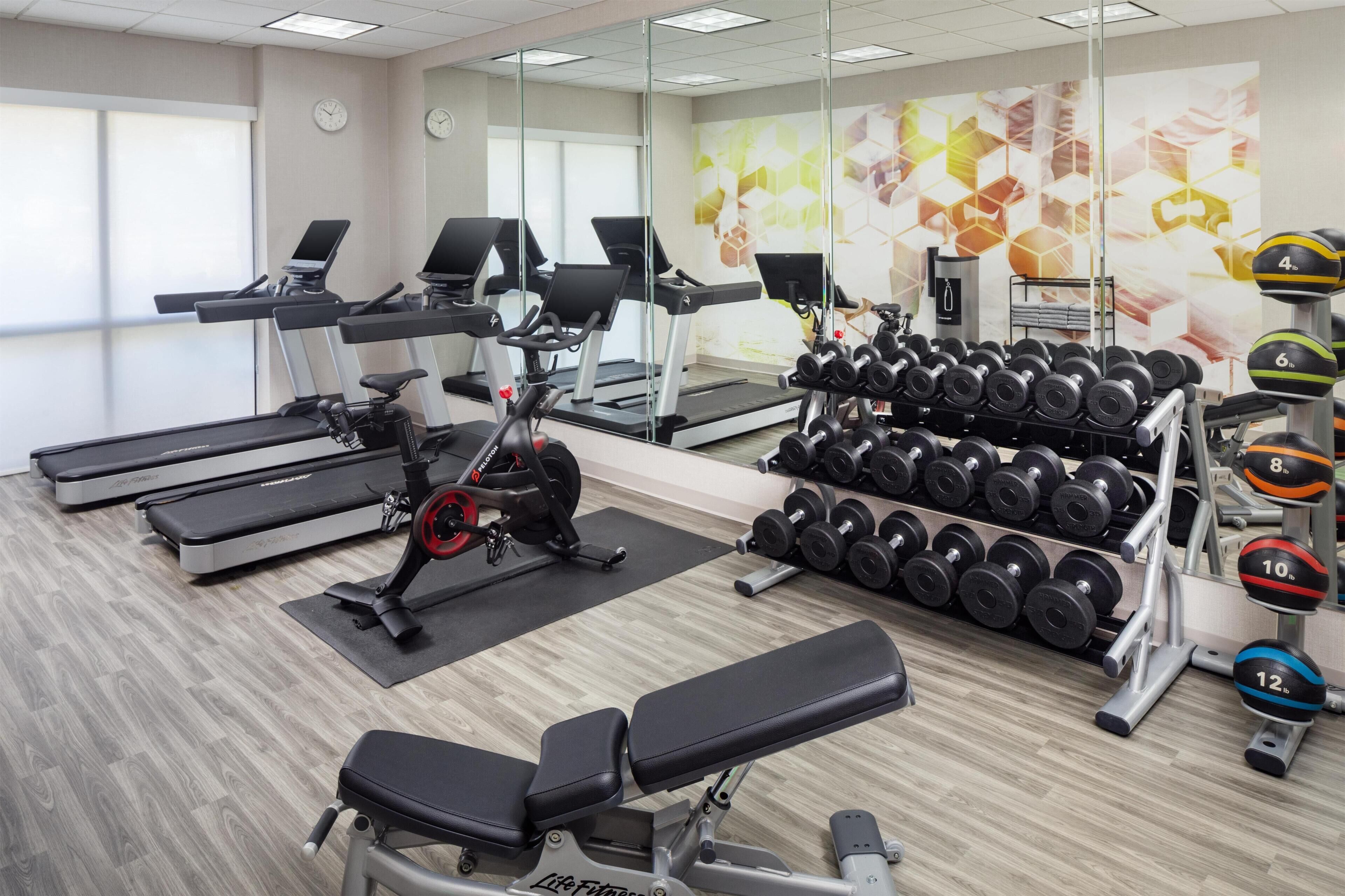 A gym with treadmills, a bench press, and a rack of dumbbells.