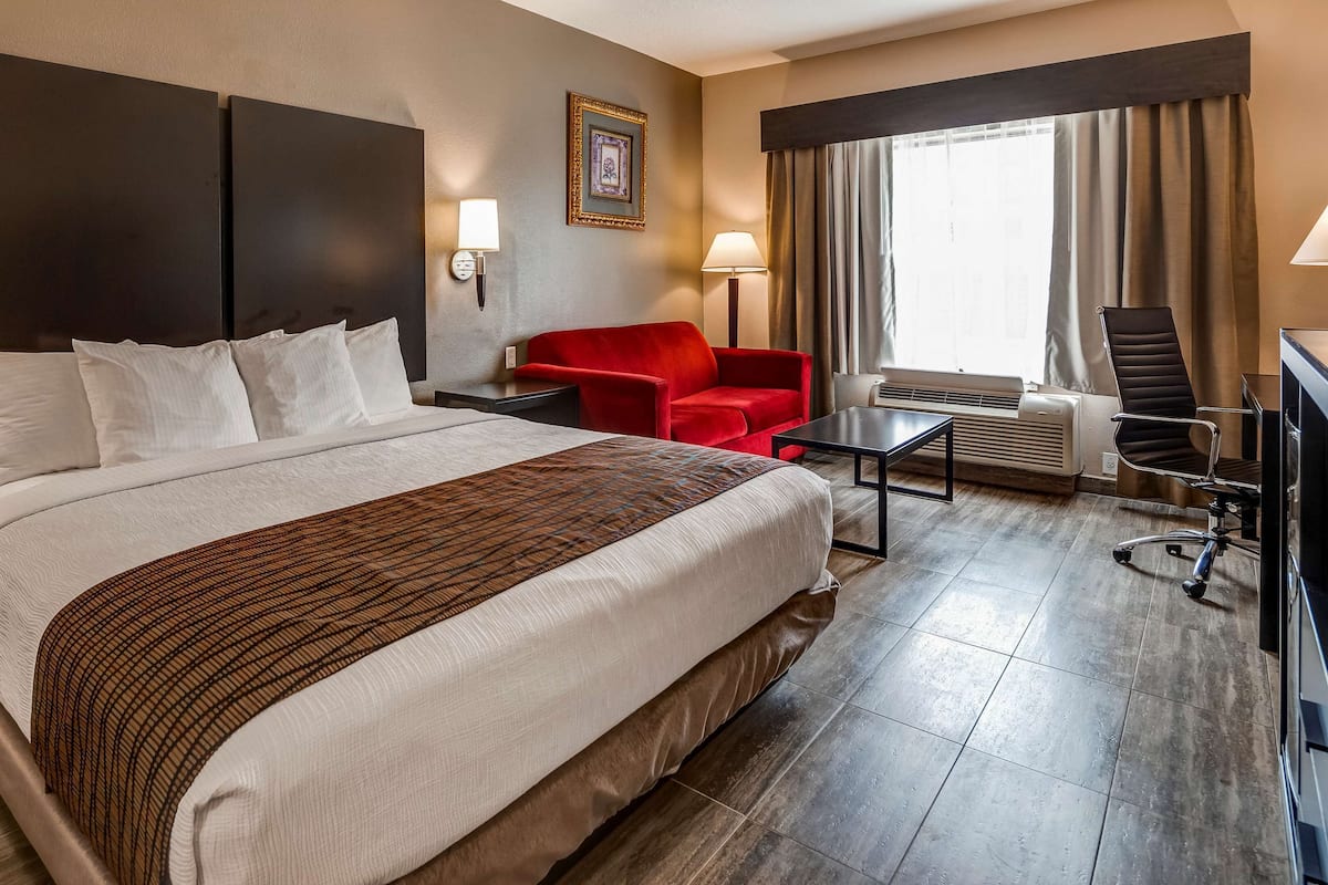 Habitación estándar, 1 cama King size, con acceso para personas discapacitadas (with Sofabed) | Sábanas de algodón egipcio y ropa de cama de alta calidad