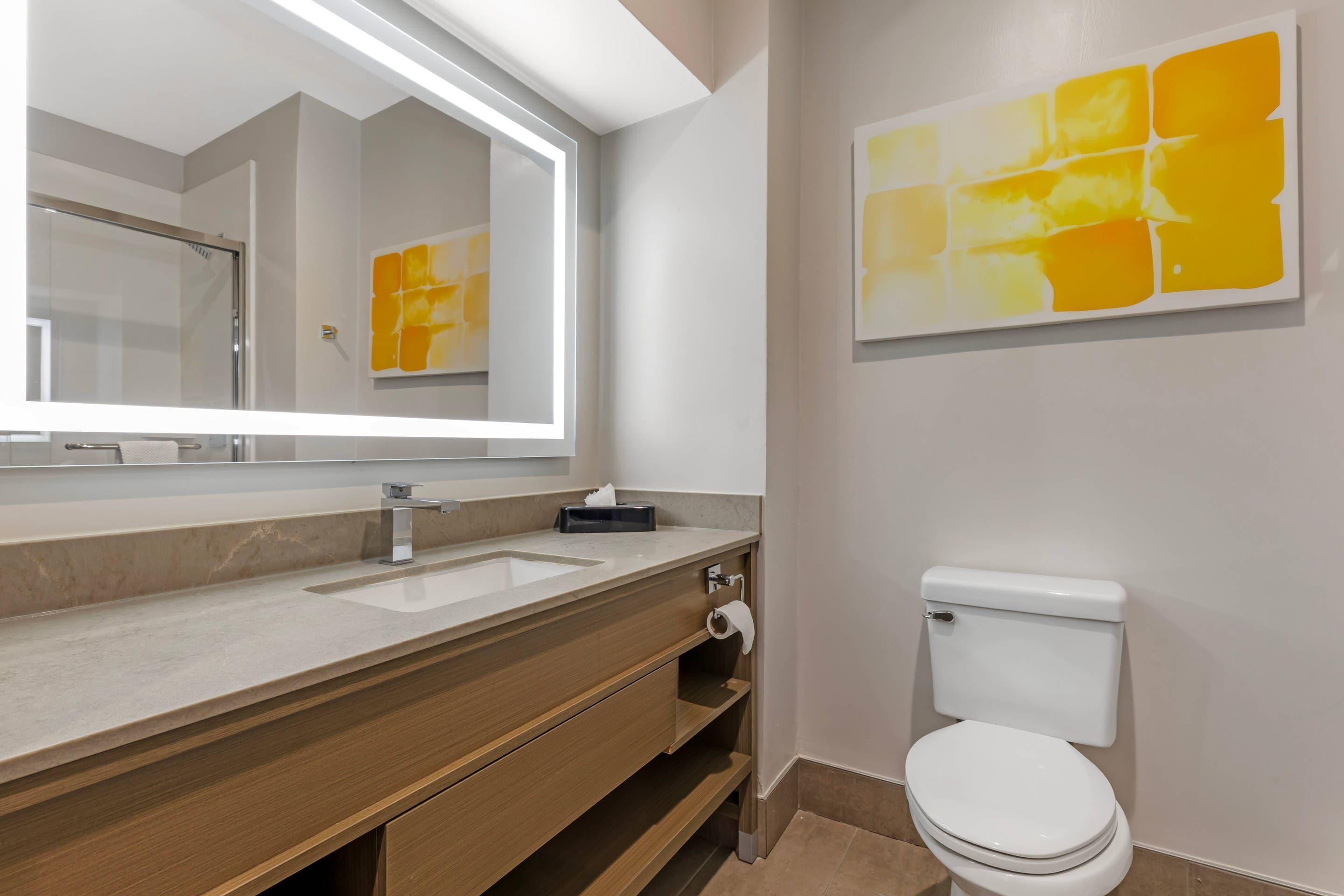 A modern bathroom with a large mirror, a sink, a toilet, and a wall-mounted abstract art piece.