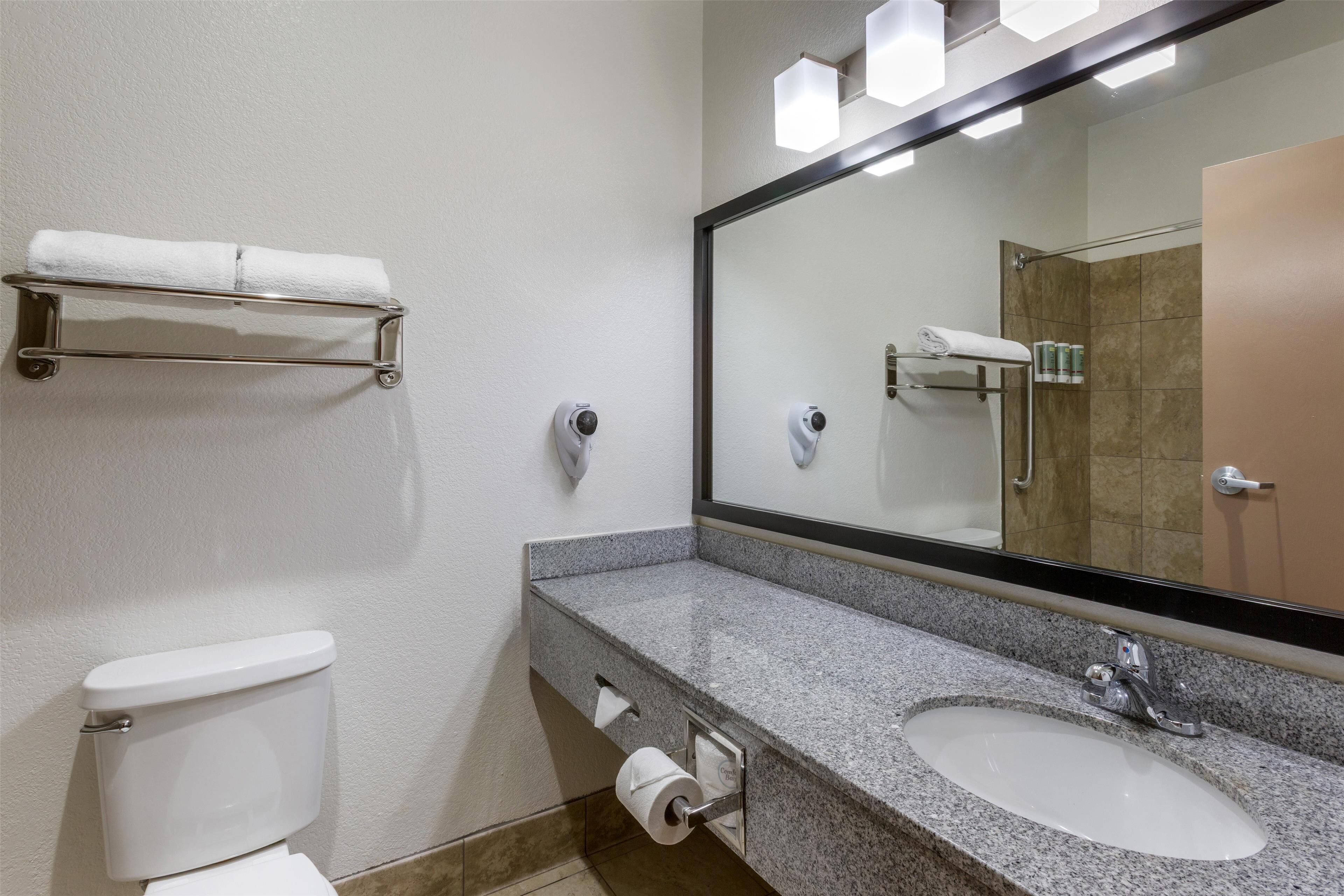 executive room, 1 king bed, non smoking, jetted tub | bathroom | combined shower/bathtub, free toiletries, hair dryer, towels