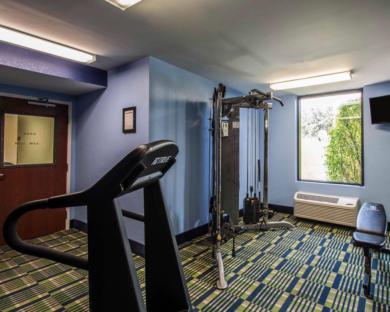 Habitación de hotel con una caminadora, una máquina de ejercicio fijada a la pared, un ventanal con vistas a follaje y una puerta con espejo.