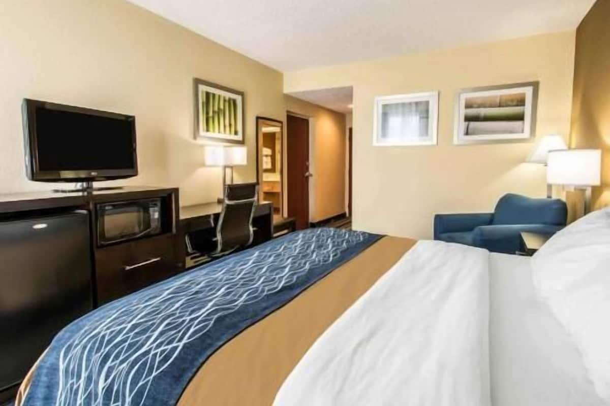 Una habitación de hotel con una cama, un escritorio con televisor, una silla y dos lámparas.