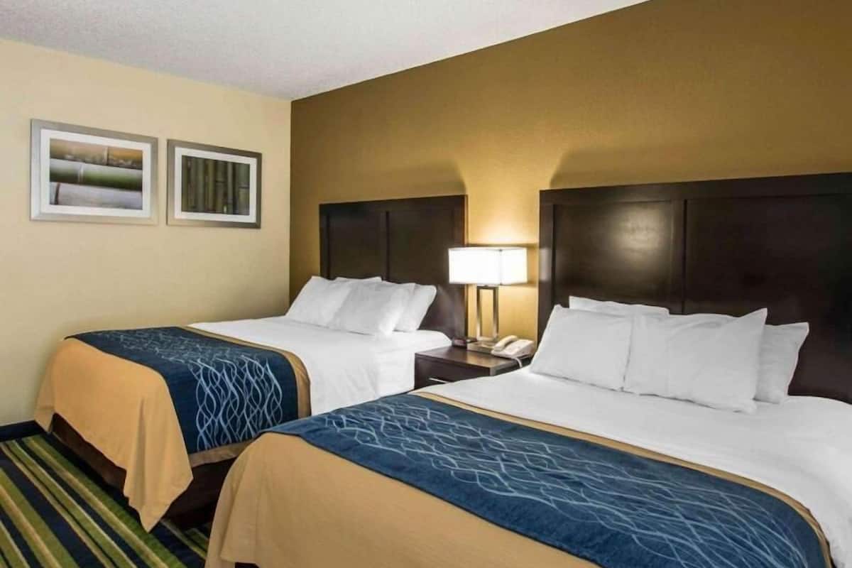 Una habitación de hotel con dos camas, una mesita de noche con lámpara y dos cuadros en la pared.