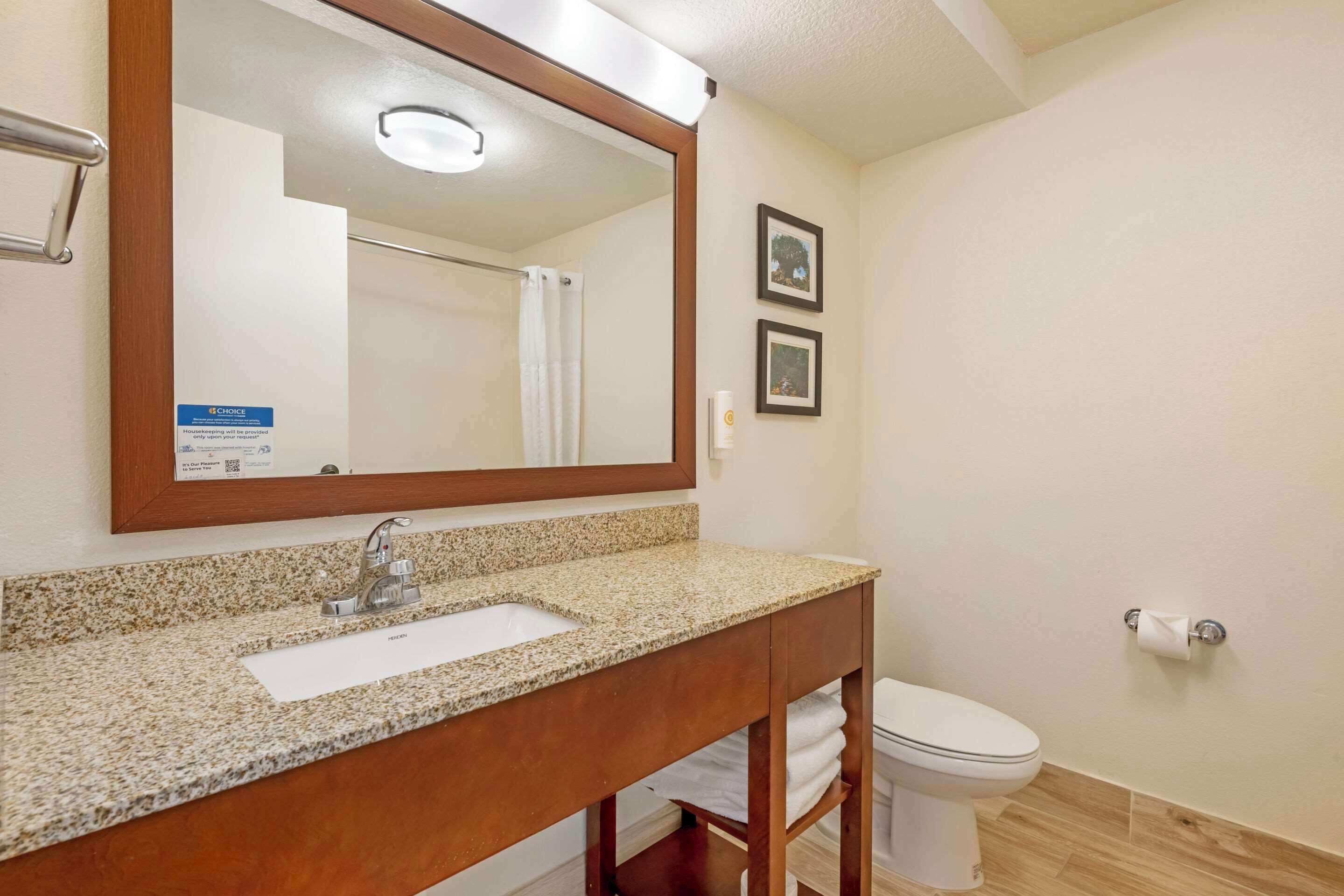 A bathroom with a granite countertop sink, a mirror, a toilet, and a shower curtain.