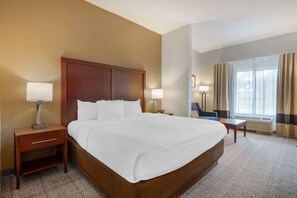 Phòng, 1 giường cỡ king và sofa giường, phù hợp cho người khuyết tật (2 Person Sofa Bed) | Bàn, màn/rèm cản sáng, bàn ủi/dụng cụ ủi quần áo 