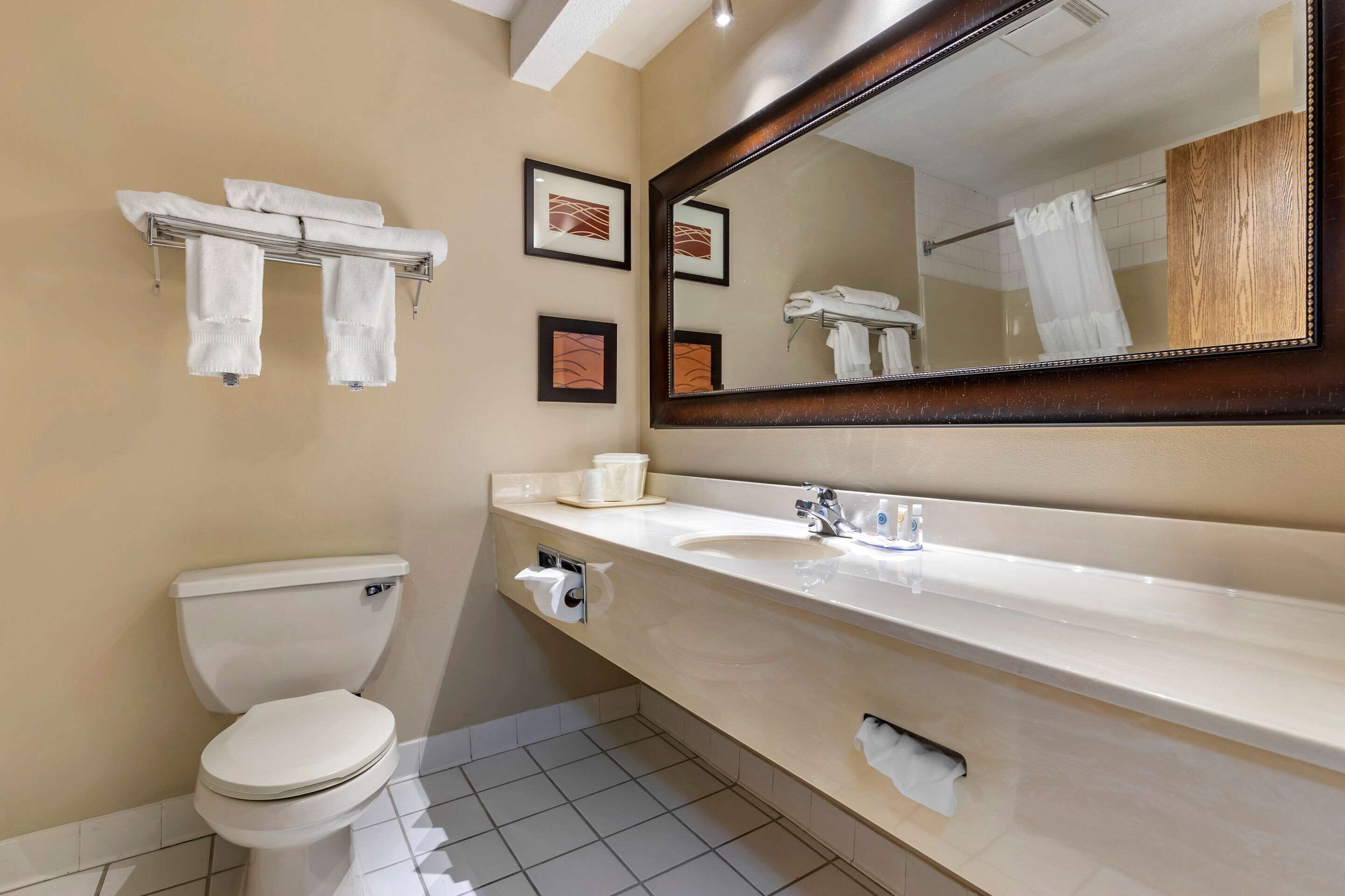 Un baño moderno con inodoro, lavamanos y espejo grande.