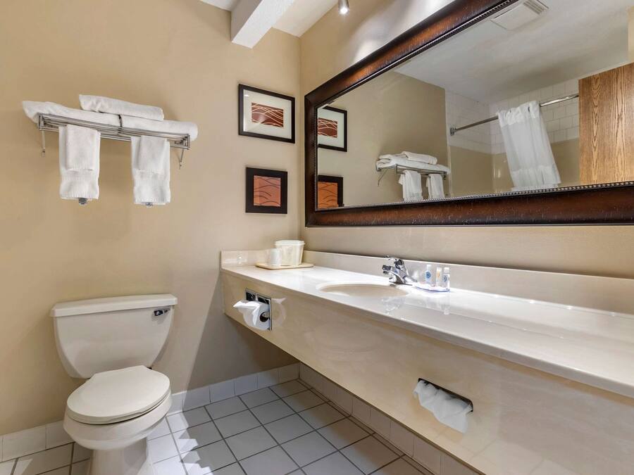 Un baño moderno con inodoro, lavamanos y espejo grande.