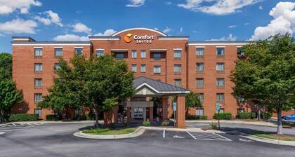 Comfort Suites Regency Park